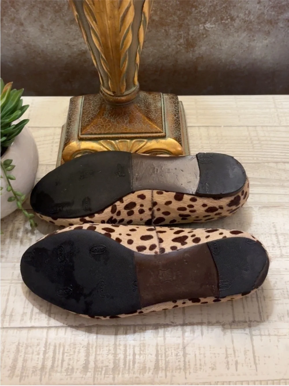 Cute Tory Burch Textured Animal Print Loafers W/Bow ~ Size 7